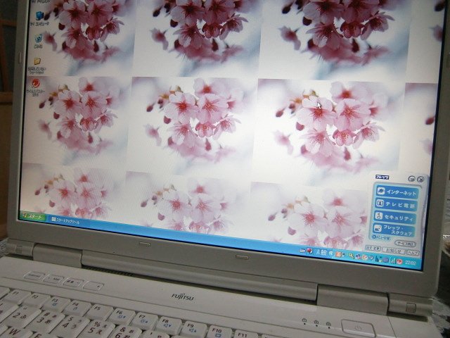 如何でしょう？