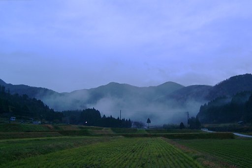 雨降りの朝!