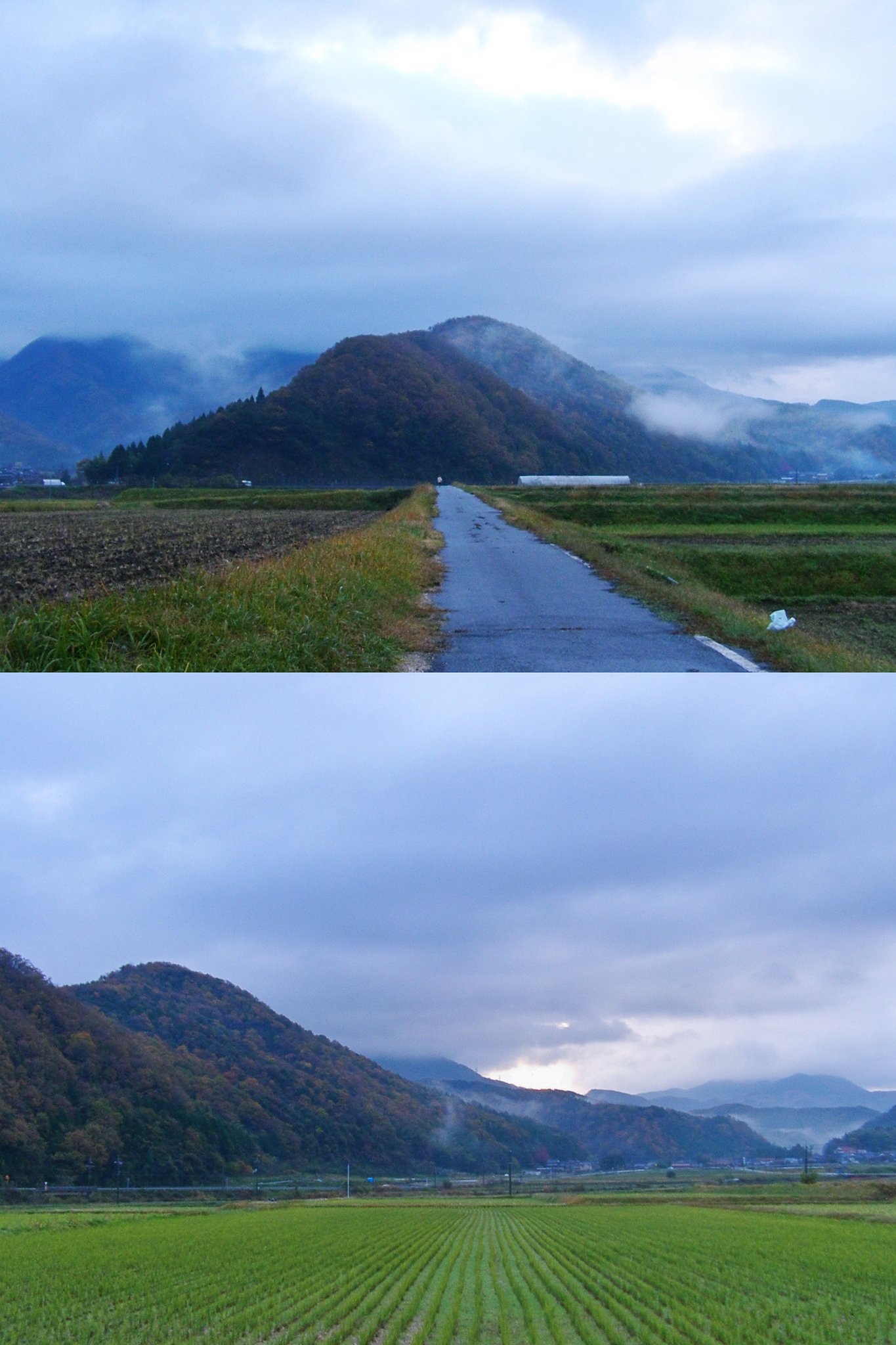 雨上がりの朝!