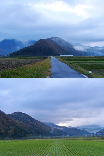雨上がりの朝!