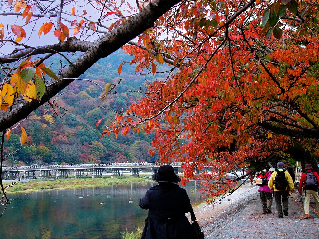 嵐山の紅葉