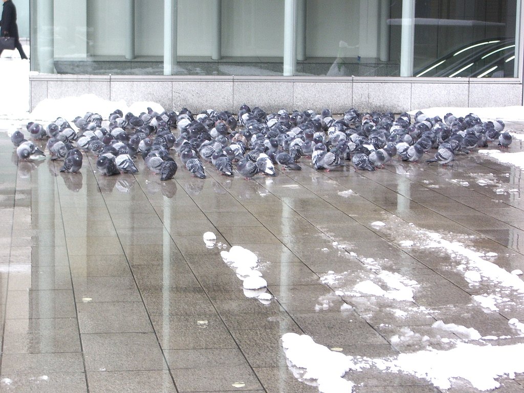駅まえに・・・