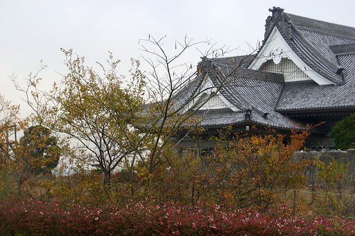 斜陽感