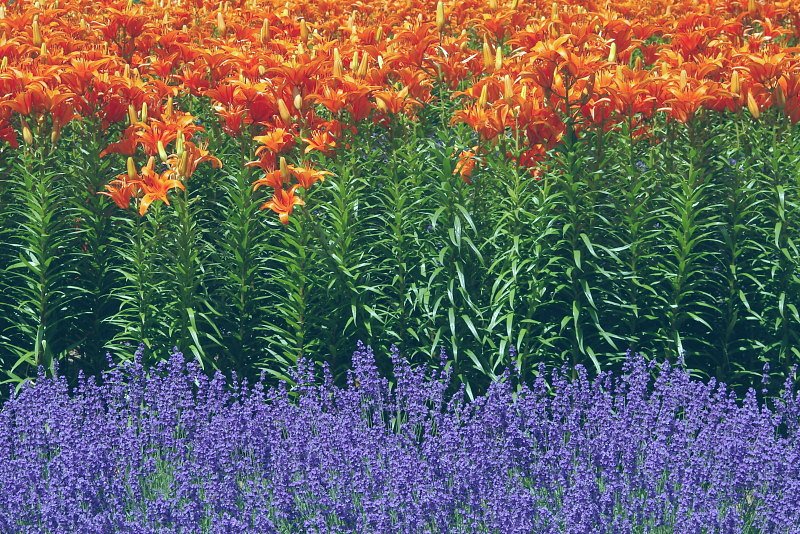 三層の彩り
