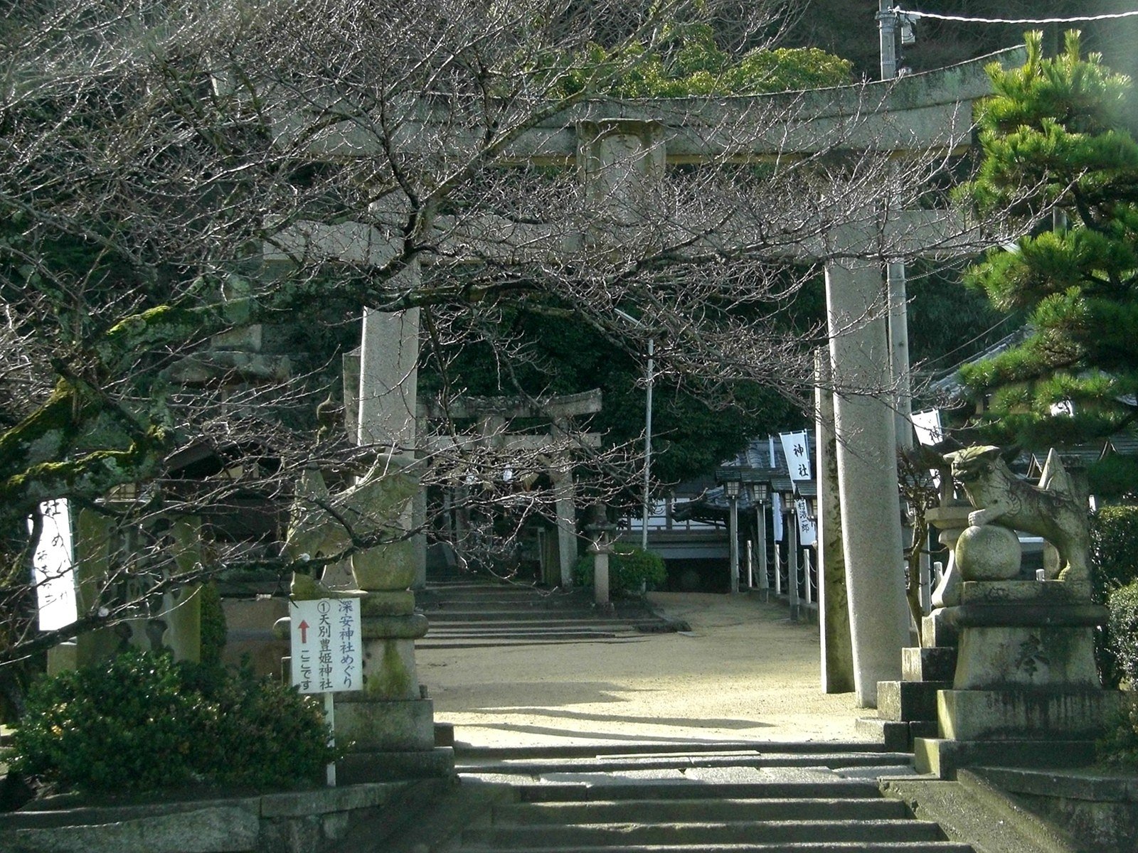 後四週間