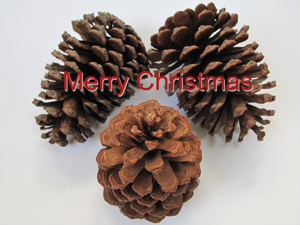 Merry Christmas♪