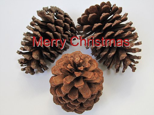 Merry Christmas♪