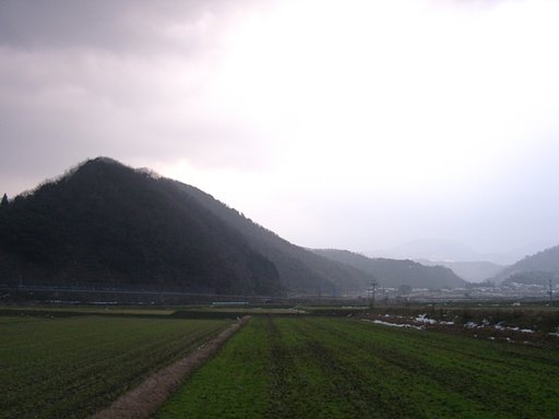 東の空-2