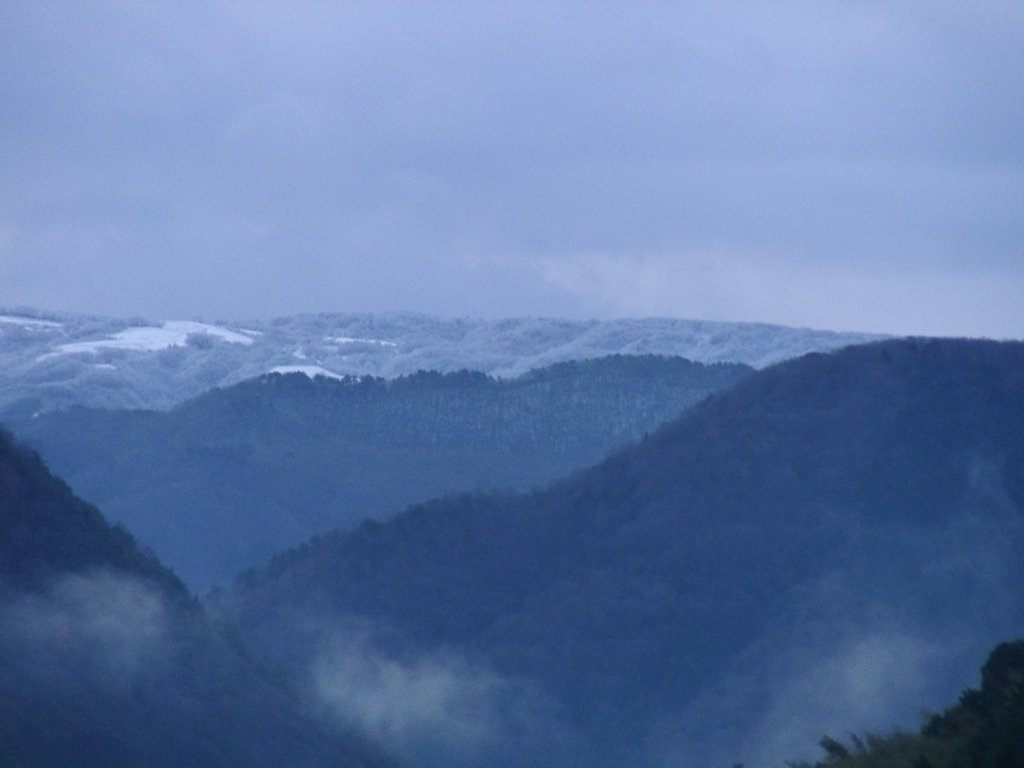 昨日からの積雪!