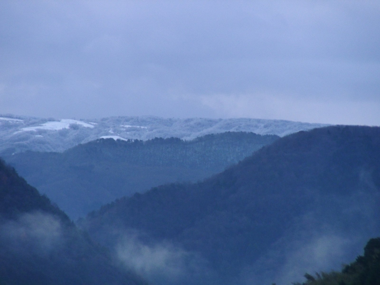 昨日からの積雪!