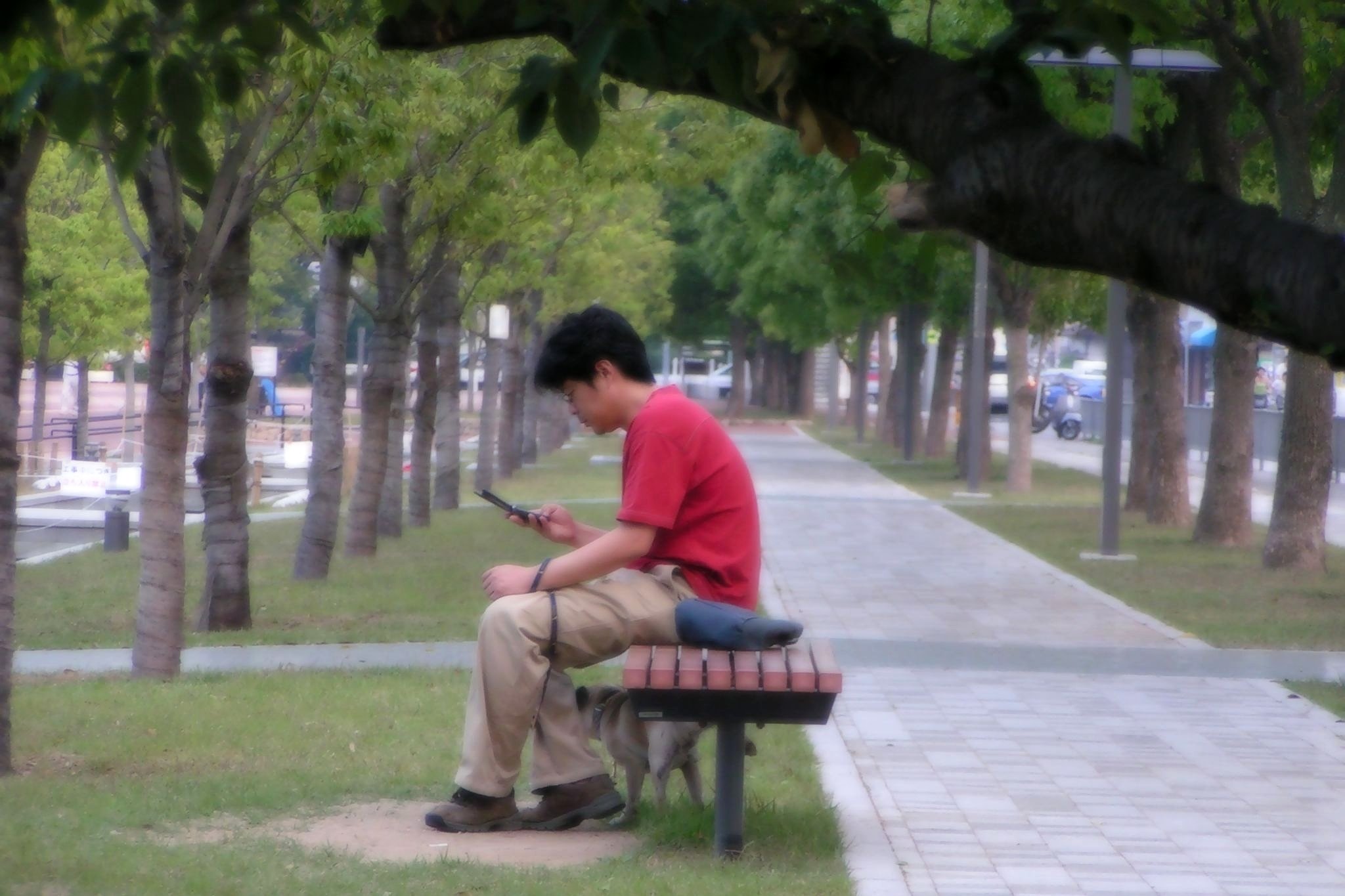 俺の縄張り