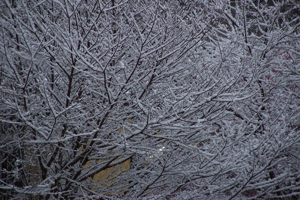 雪模様