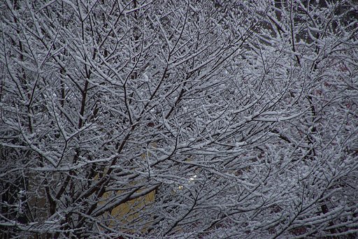 雪模様
