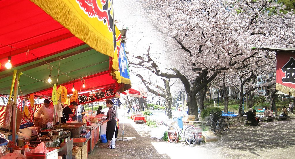 【桜】花より‥