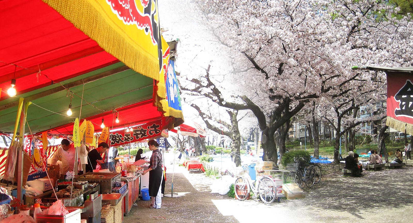 【桜】花より‥