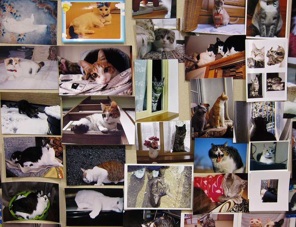 写真の写真