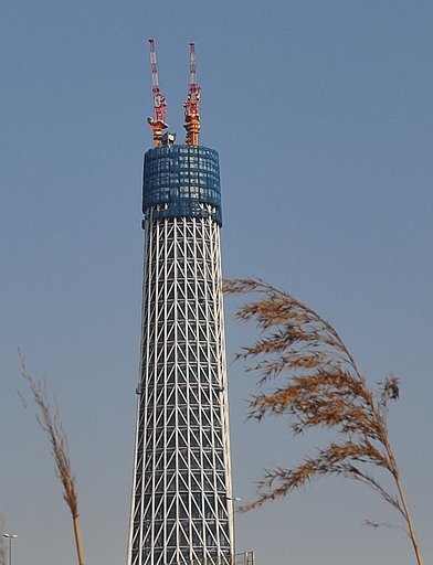 隅田川の葦と東京スカイツリー
