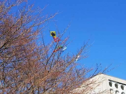 【あした】は明日の風が吹く