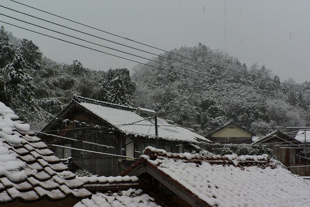 春の雪、夕方の積雪