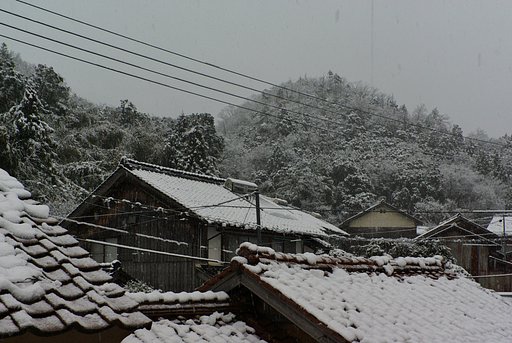 春の雪、夕方の積雪