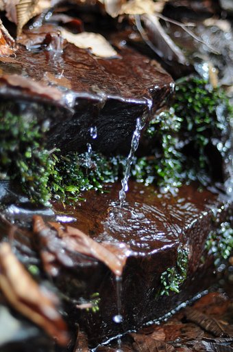 Acqua