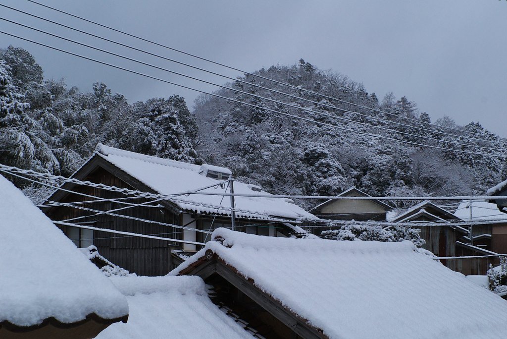 新しい雪が20cmも