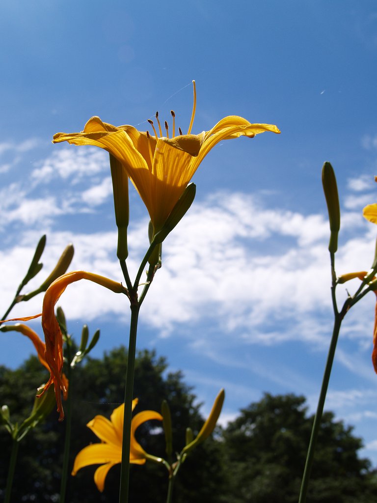 【2】よくある写真