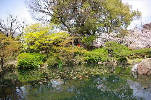 極楽浄土