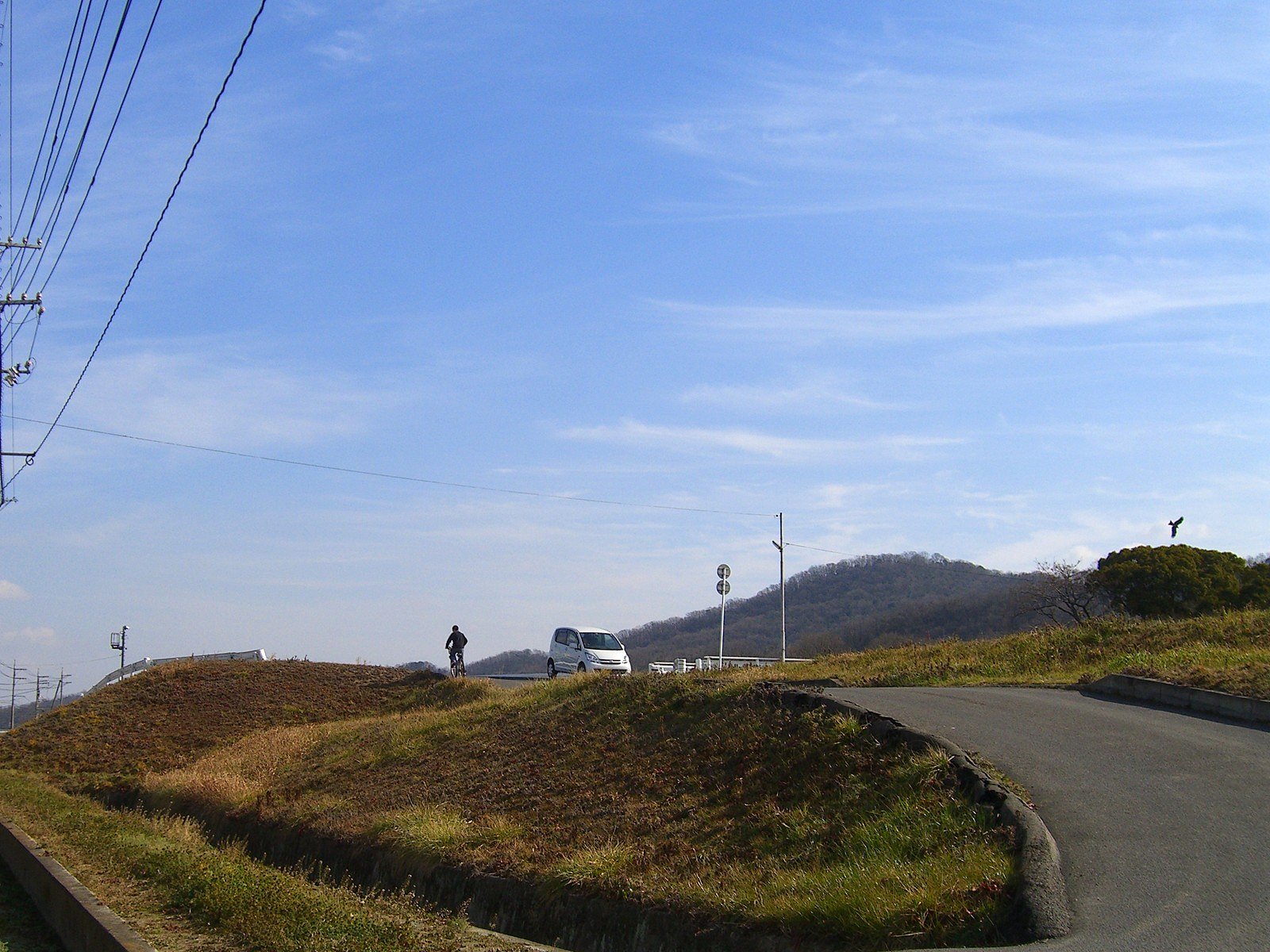 車と自転車とトンビと