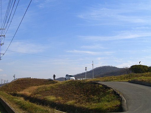 車と自転車とトンビと