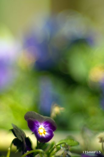 Soligor135mmF1.5