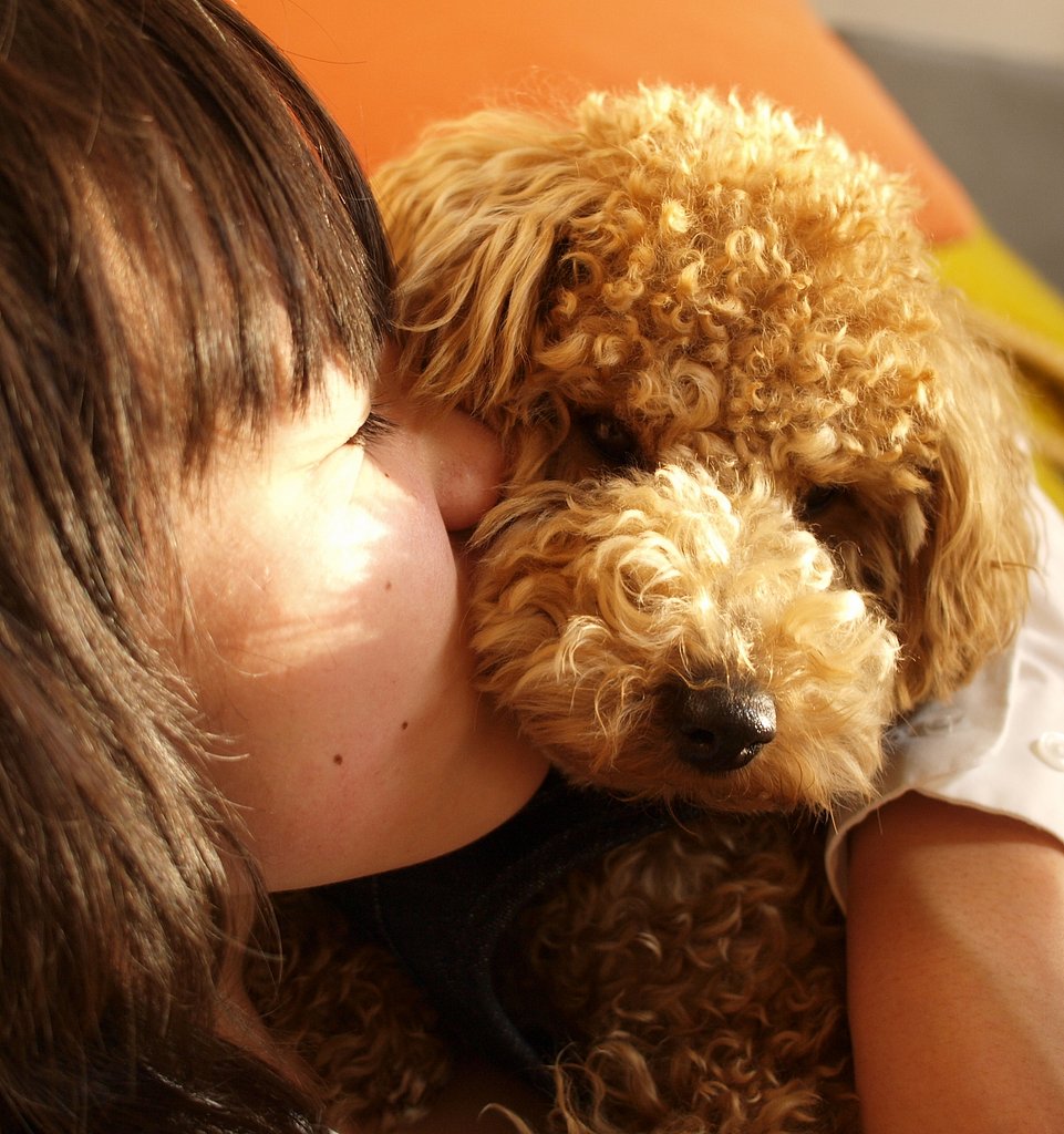 【やすらぎ】愛犬