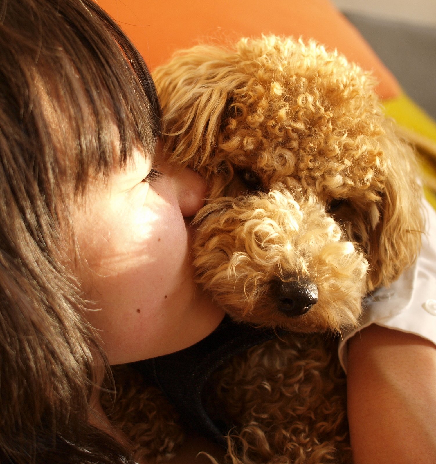 【やすらぎ】愛犬