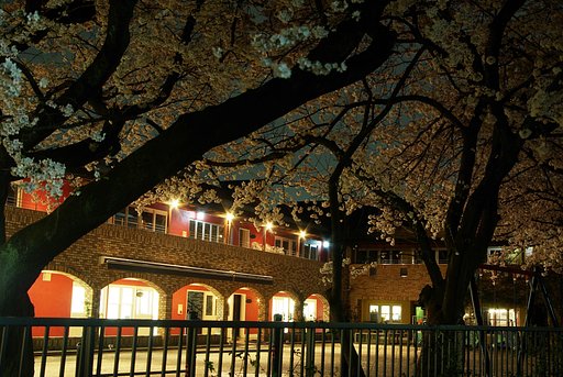 【桜】夜の幼稚園
