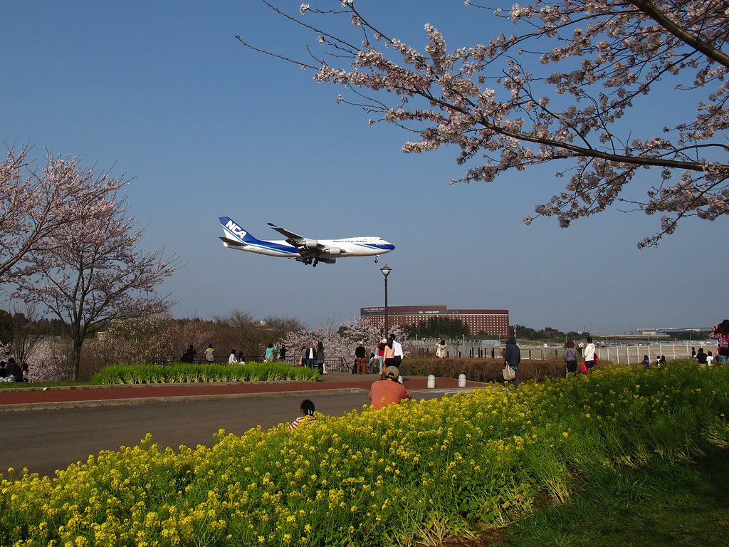 着陸機の見える風景