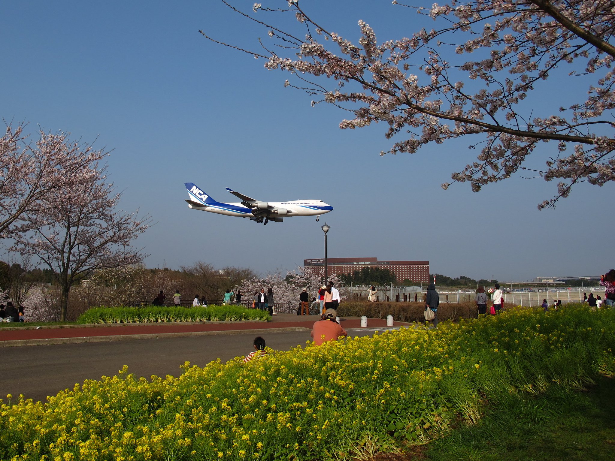 着陸機の見える風景