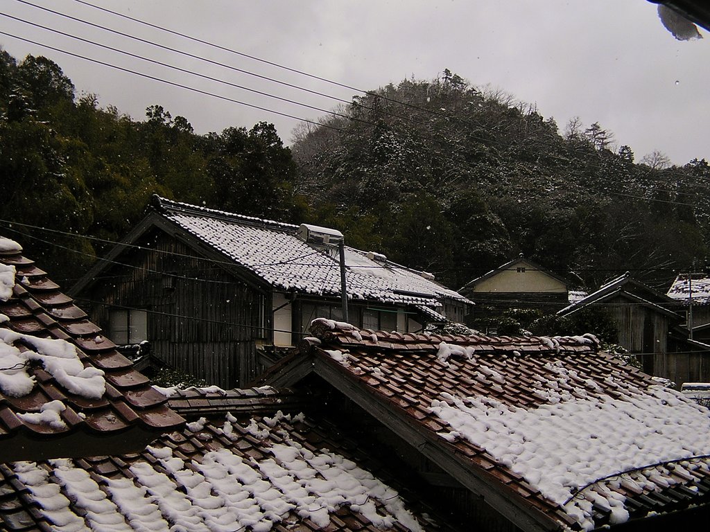 雪もダイブ止んできた!