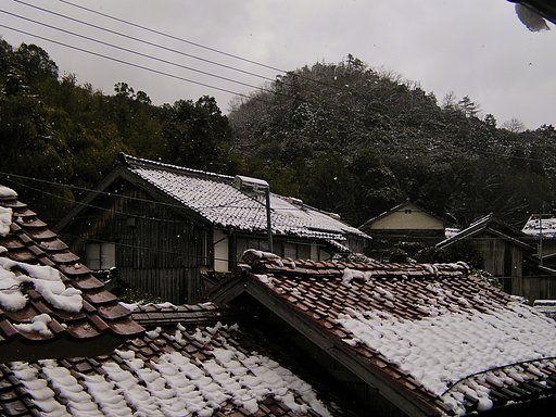 雪もダイブ止んできた!