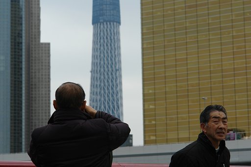 定点観測