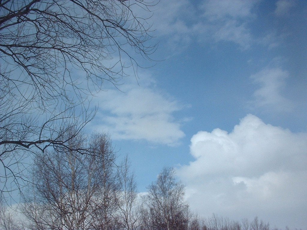 冬の空