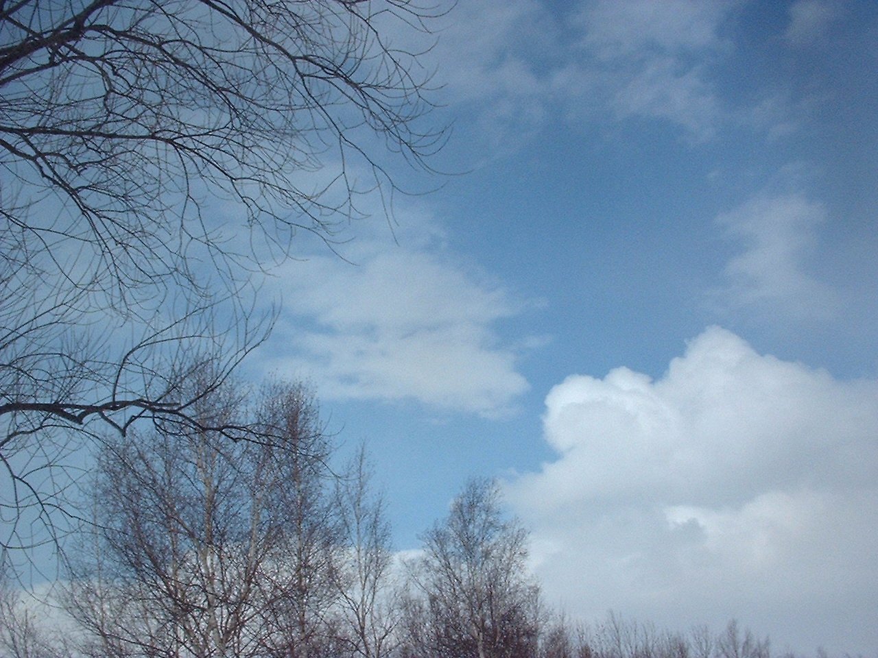 冬の空
