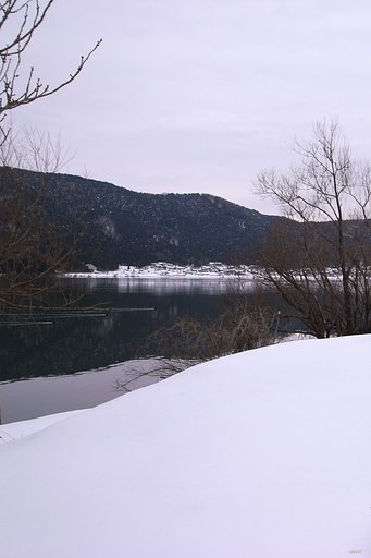 雪景色