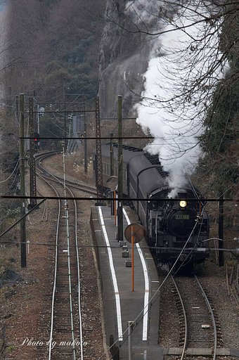 冬枯れの駅・・・
