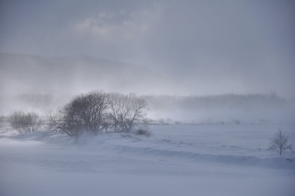 地吹雪