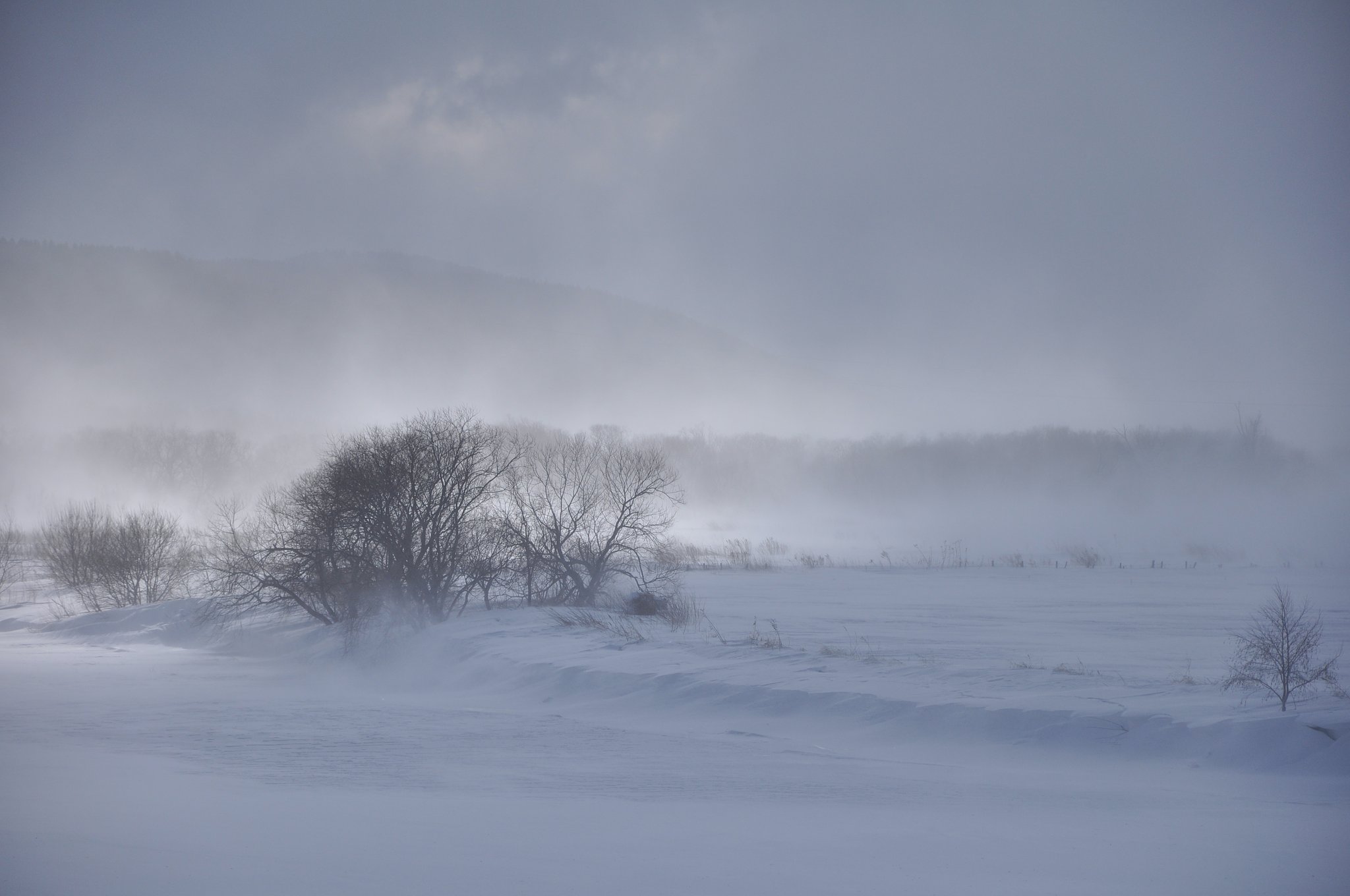 地吹雪