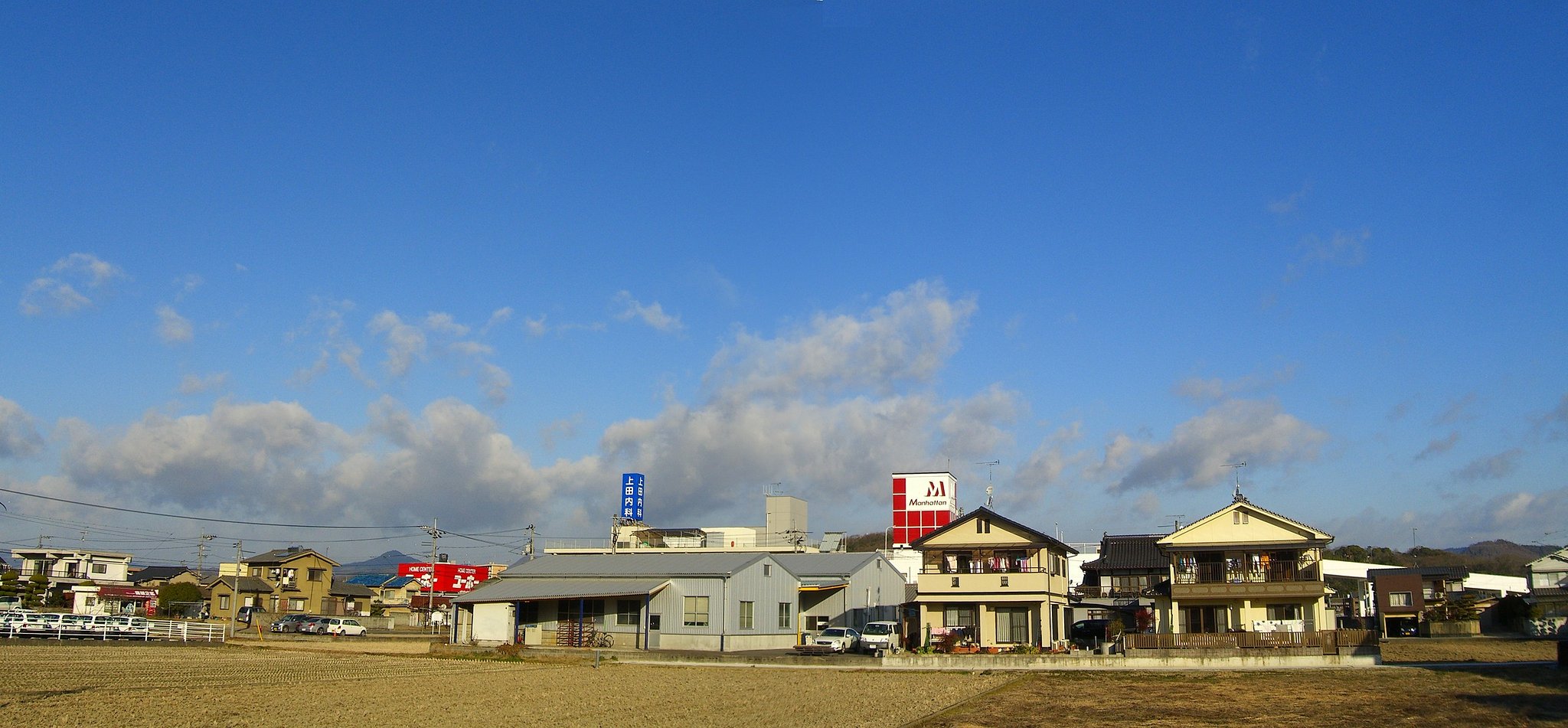 晴れました