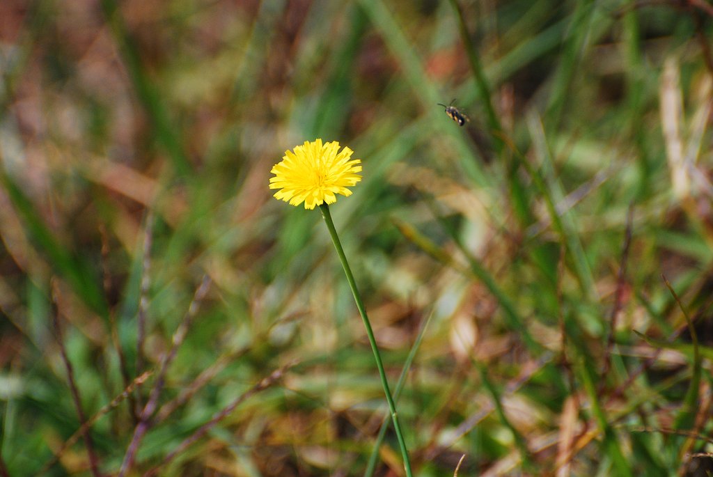 気付けば