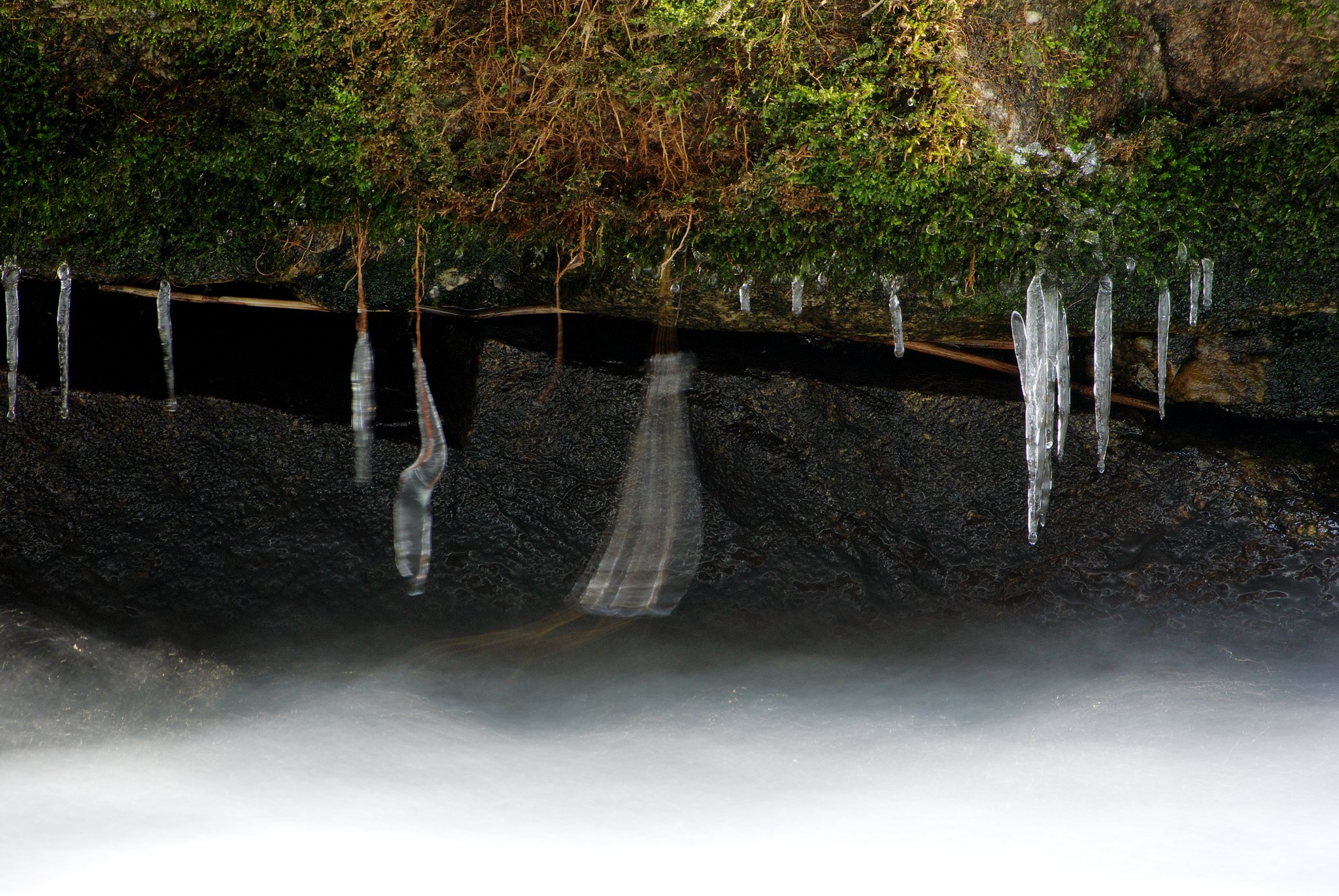 ふりこ