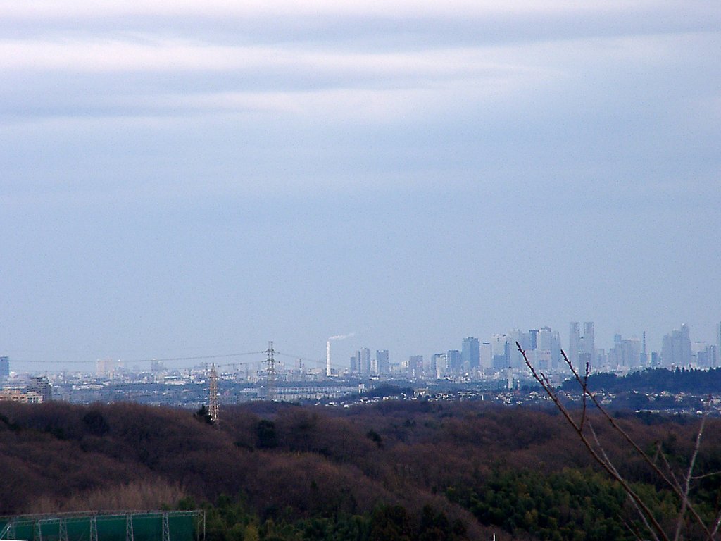 ◆見えた新宿副都心