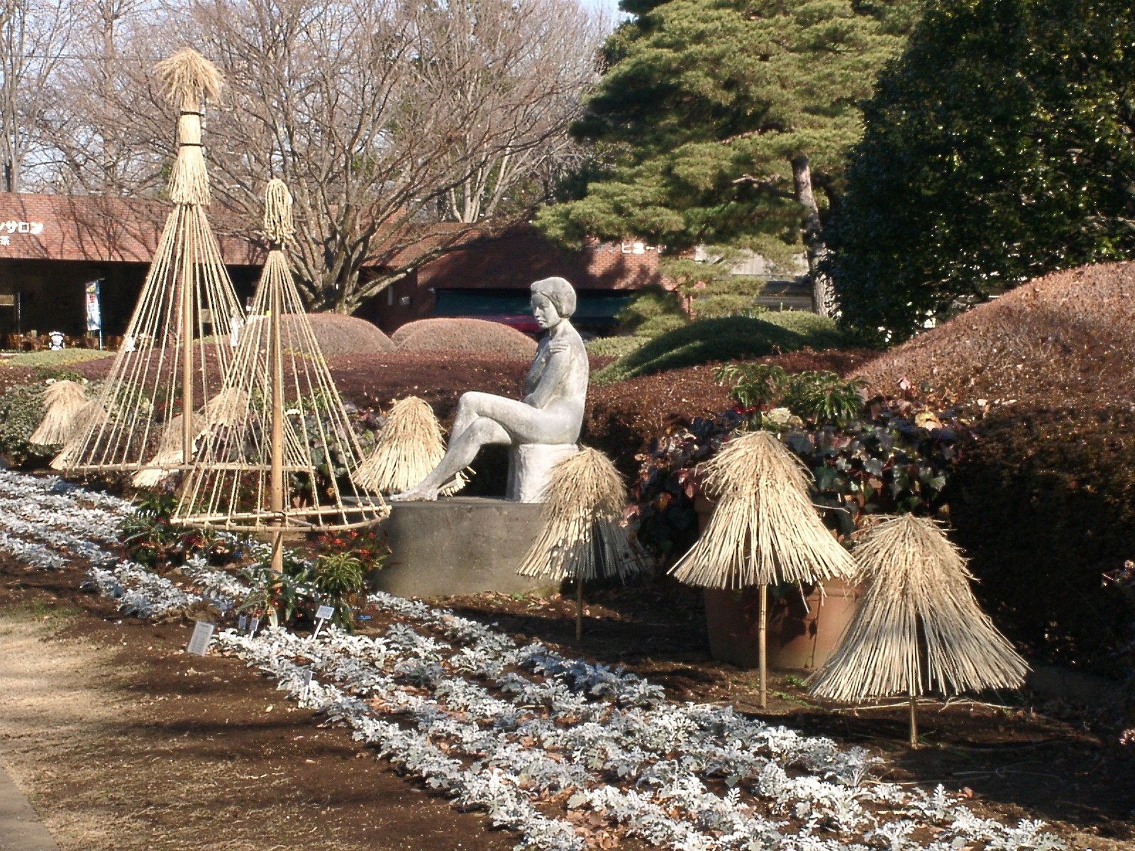 ★新春の植物園から-02